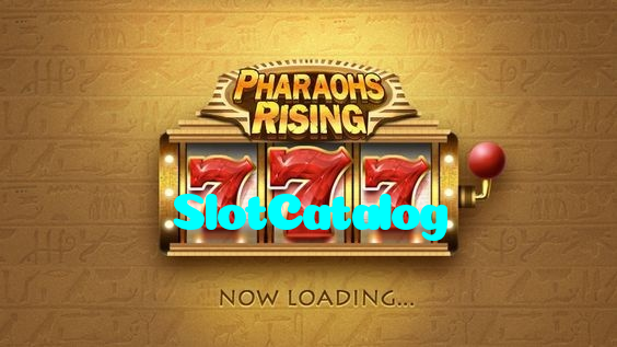 available types of SlotCatalog bet including pre-match live express and system bets